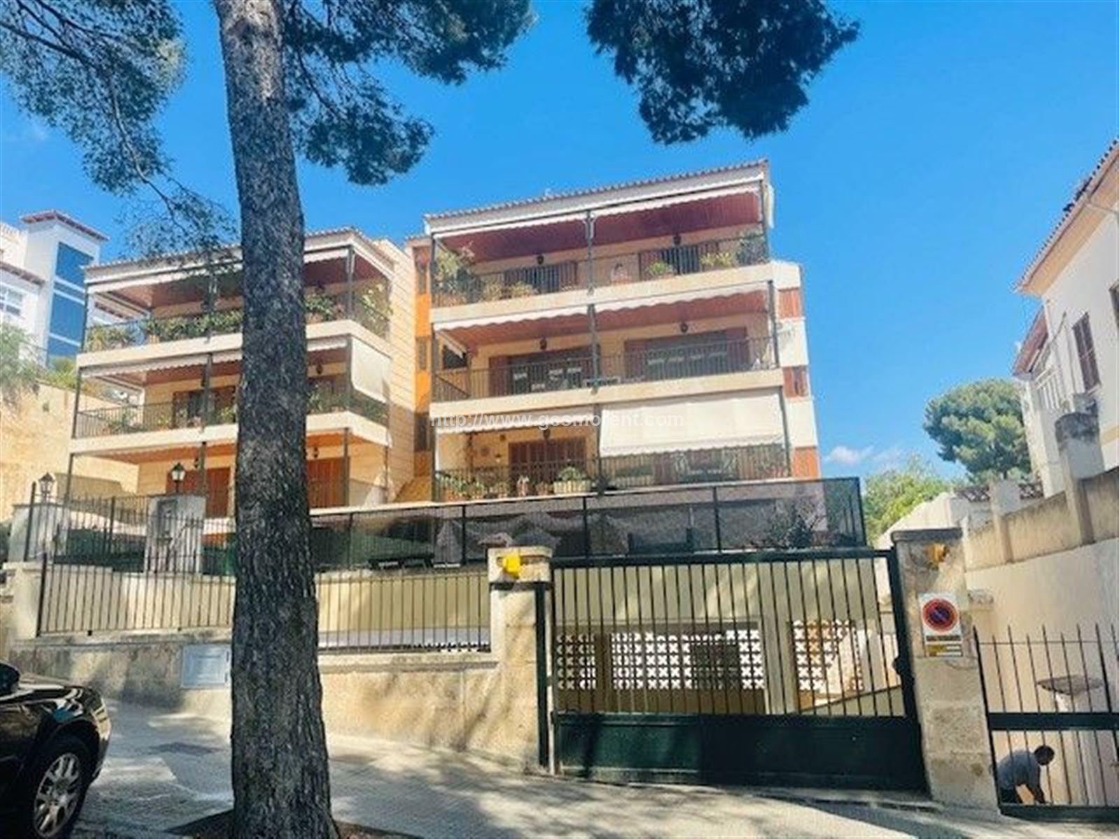 CONJUNTO DE 3 LOCALES EN ALQUILER EN SON ARMADAMS